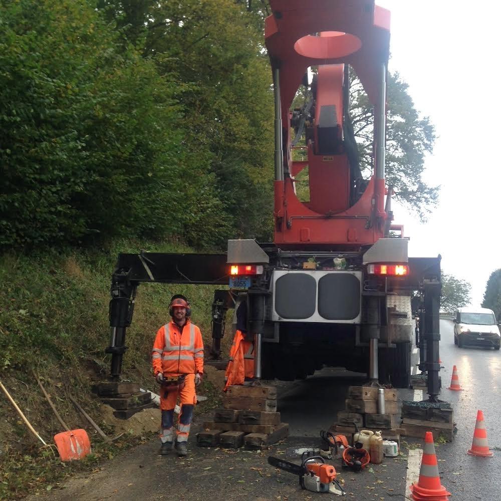 Sécurisation de route par abattage d'arbres dans le Jura — SAS POLYVIER